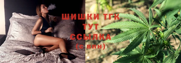 дживик Абаза